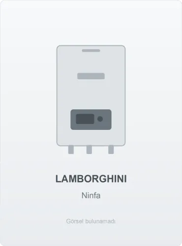 Lamborghini Ninfa kombi